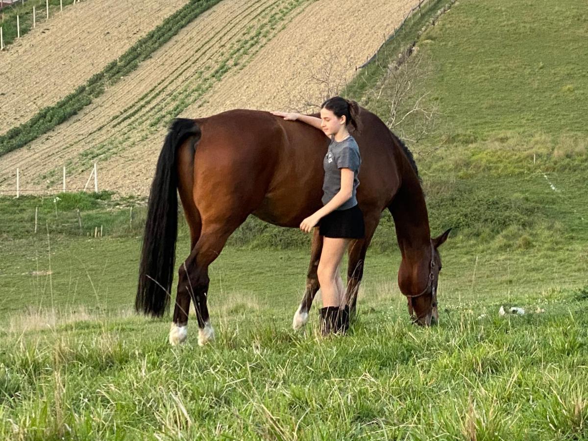Tenuta Lisetta Monterotondo  Kültér fotó