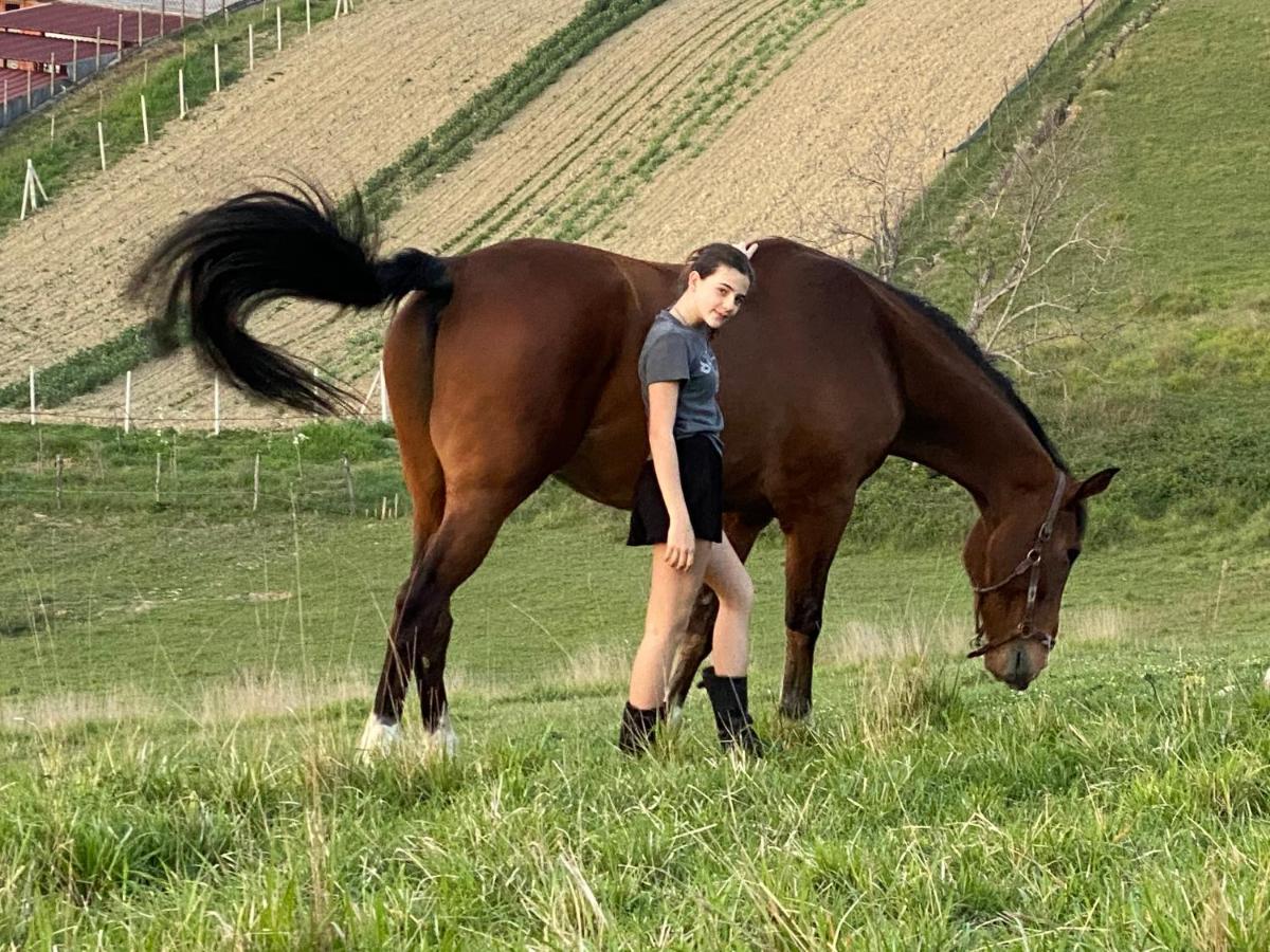 Tenuta Lisetta Monterotondo  Kültér fotó